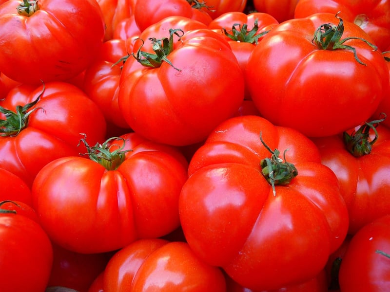 Tomatoes in a vertical garden
